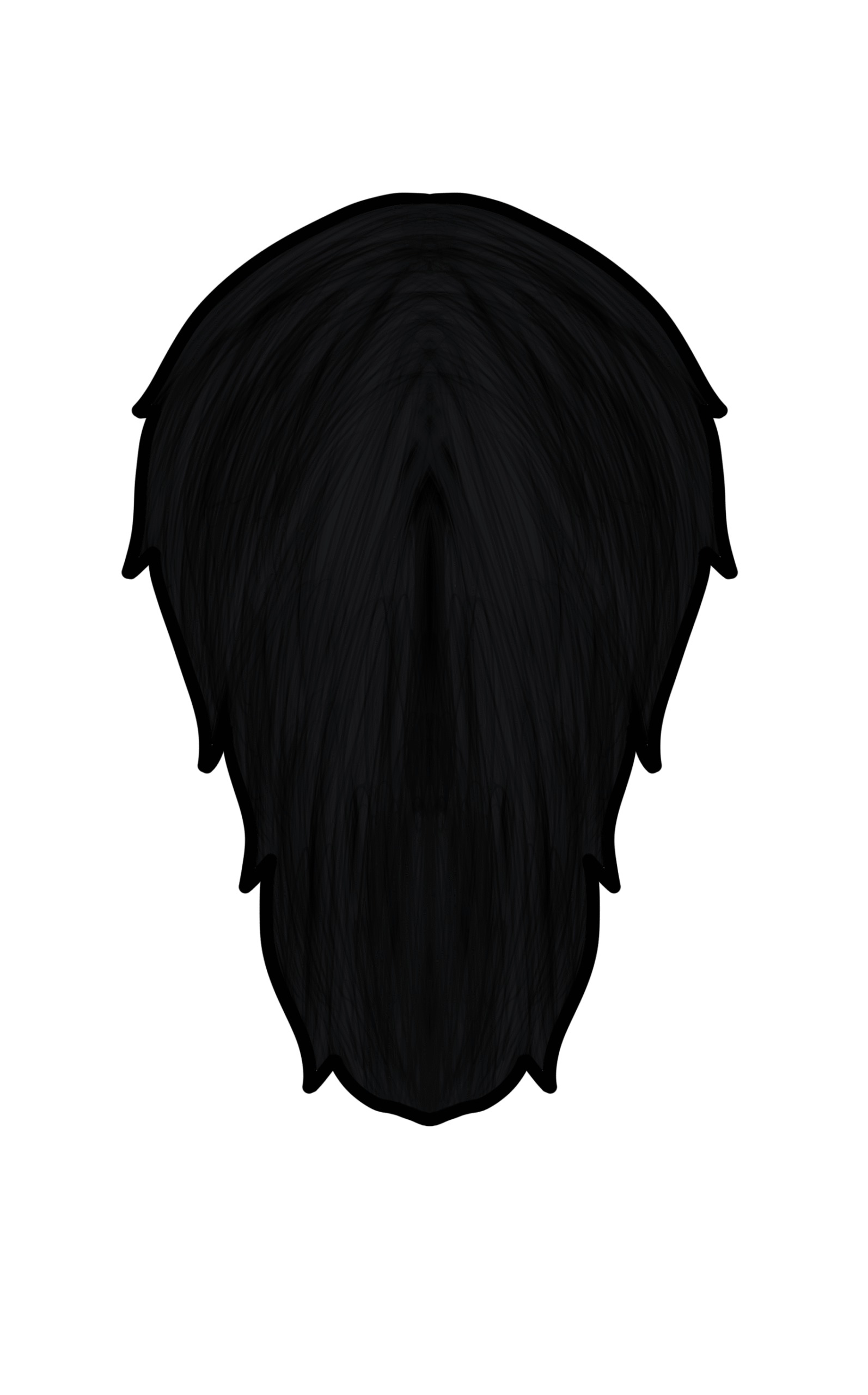 Long Shaggy