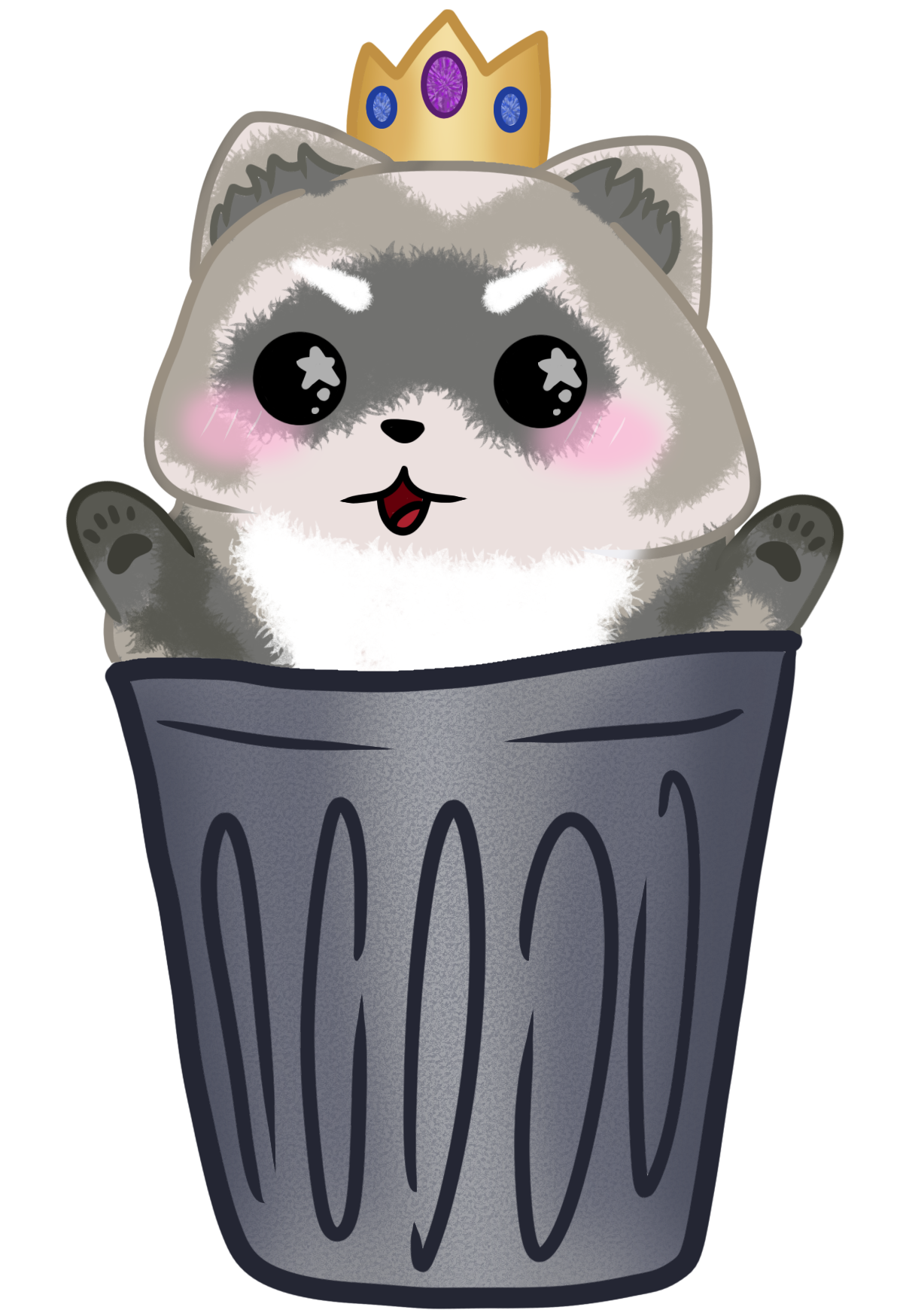 Raccoon - Rainbow before