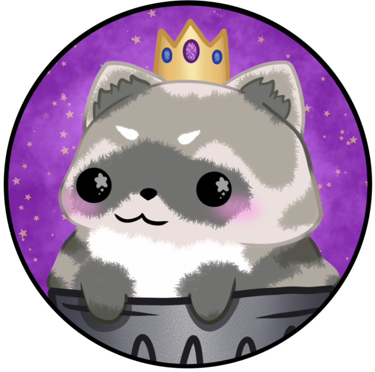 Profile picture - Raccoon